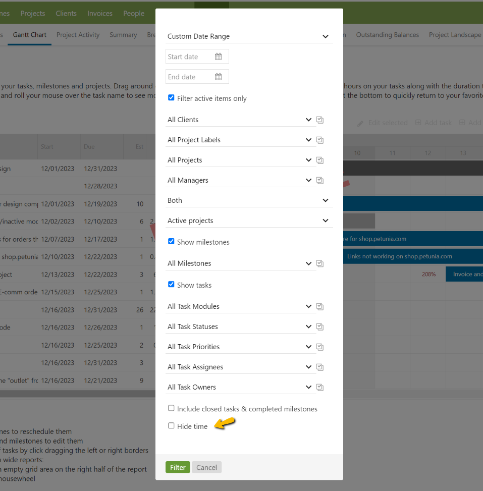 Gantt Hide Time Option